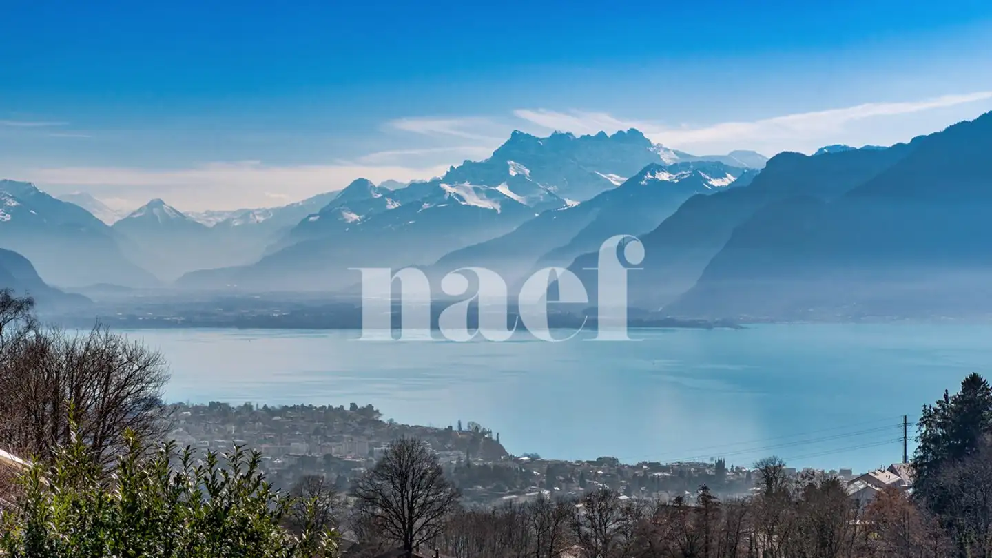 Penthouse kaufen - 1805 Jongny