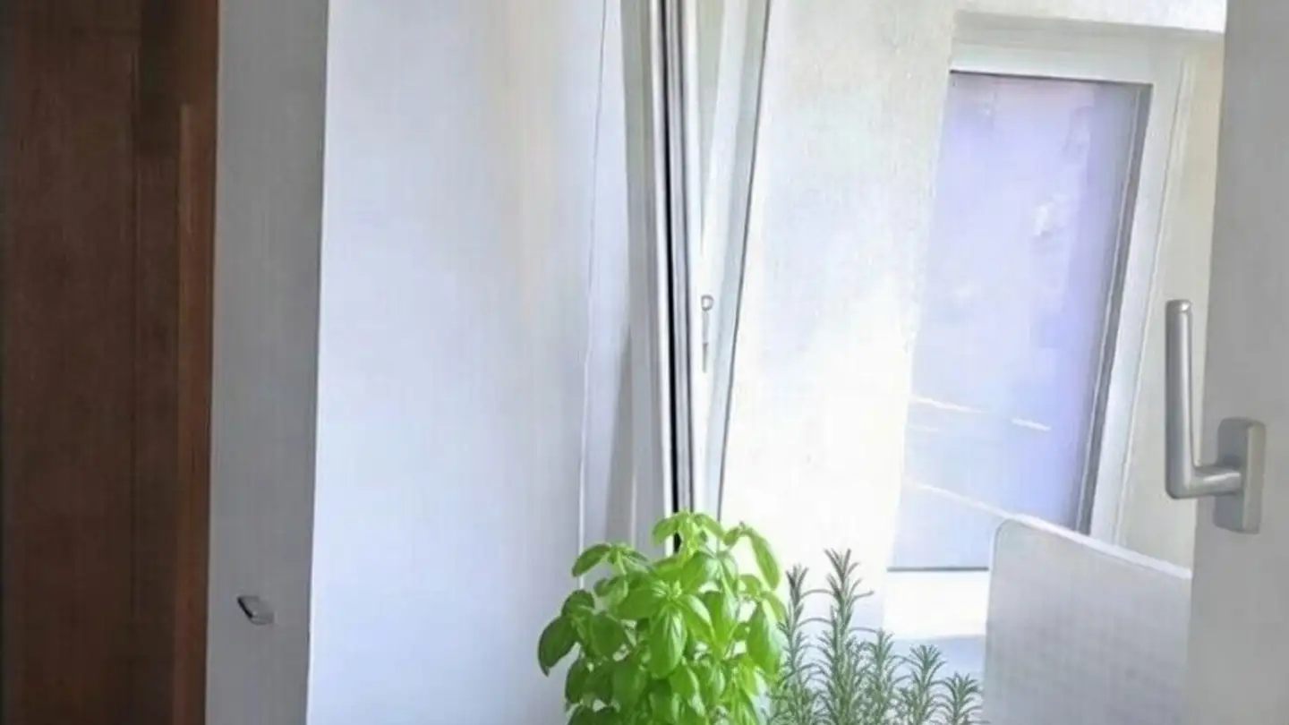 Appartamento in affitto - Tunnelstrasse 11, 3900 Brig - Foto 3