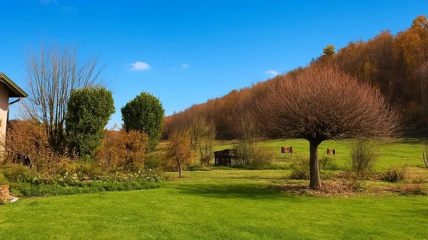 Appartamento in affitto - Vers-Chez-Savary 48, 1551 Vers-chez-Perrin - Foto 2