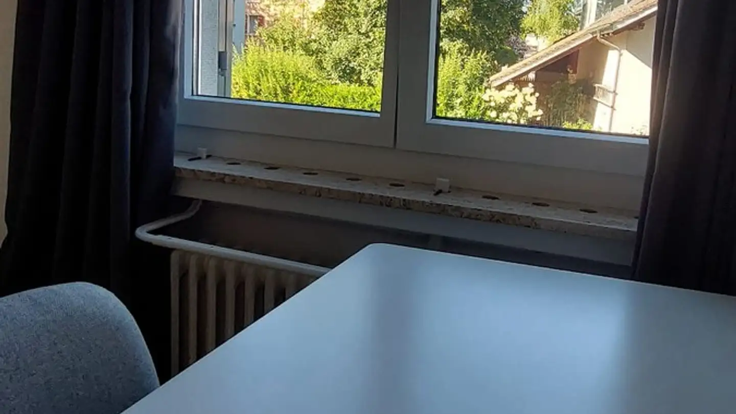 Stanza singola in affitto - Austrasse 1, 8134 Adliswil - Foto 3