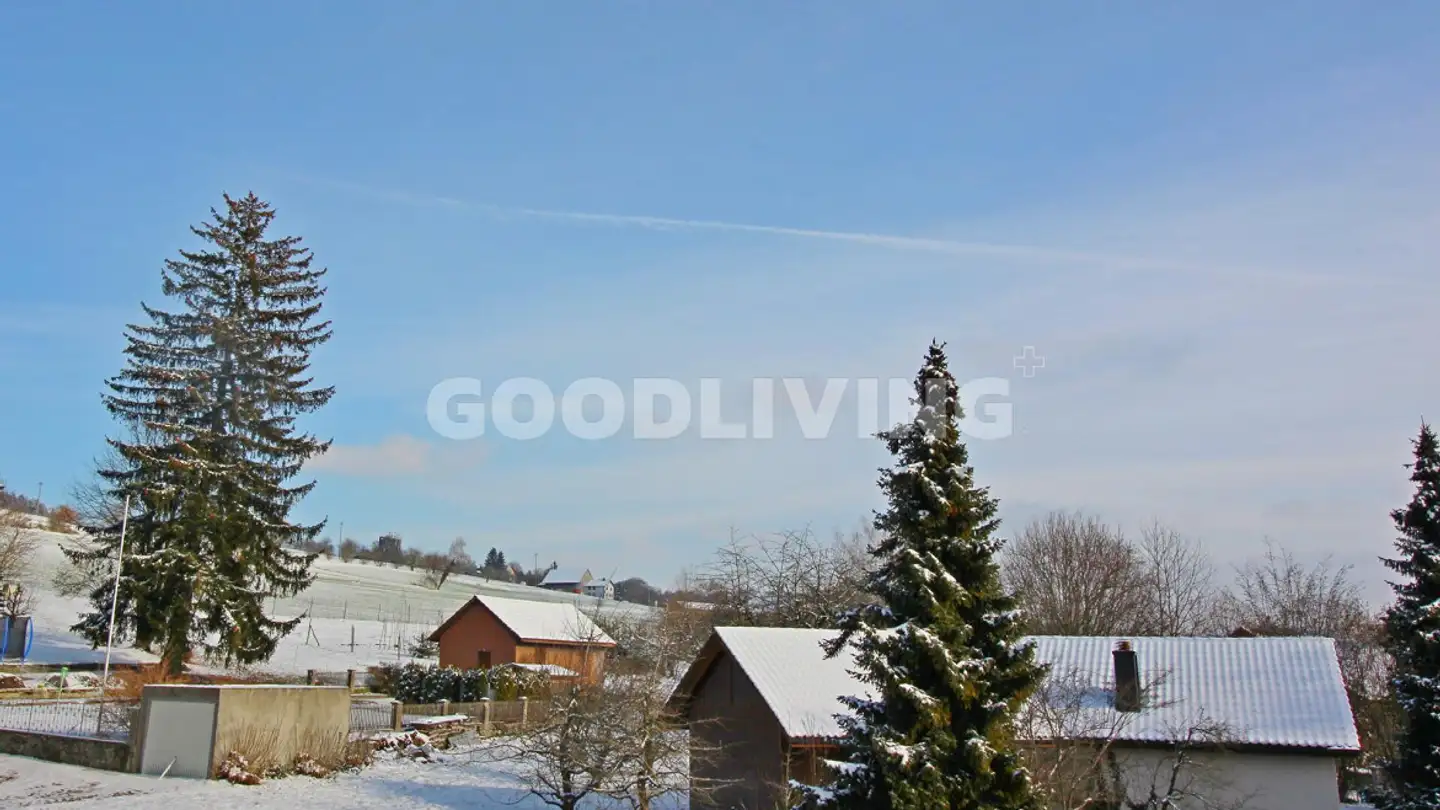 Apartment for sale - 5707 Seengen - Photo 2