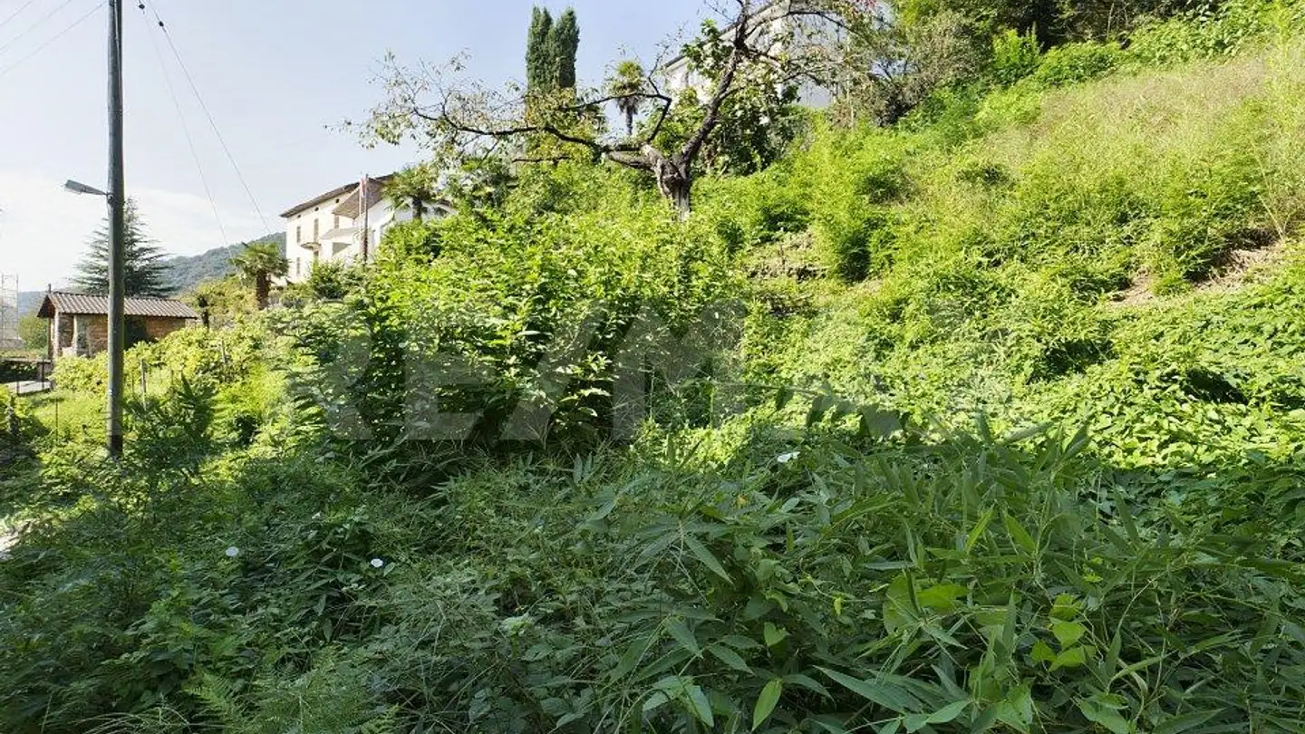 Terrain constructible à vendre - 6997 Sessa - Photo 4