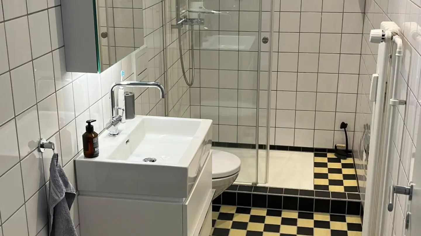 Apartment for rent - Bäckerstrasse 2, 8952 Schlieren - Photo 4