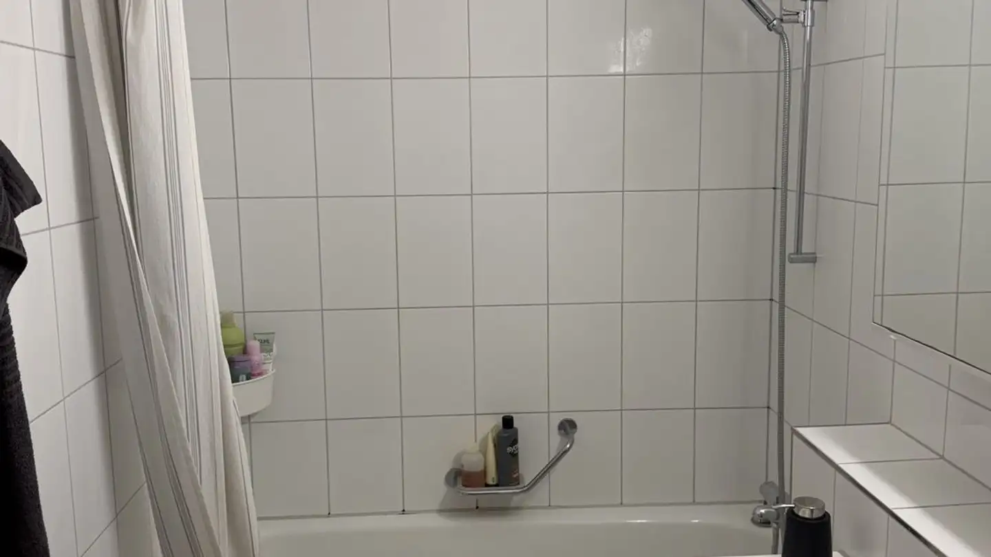 Wohnung mieten - Schulstrasse 88, 8952 Schlieren