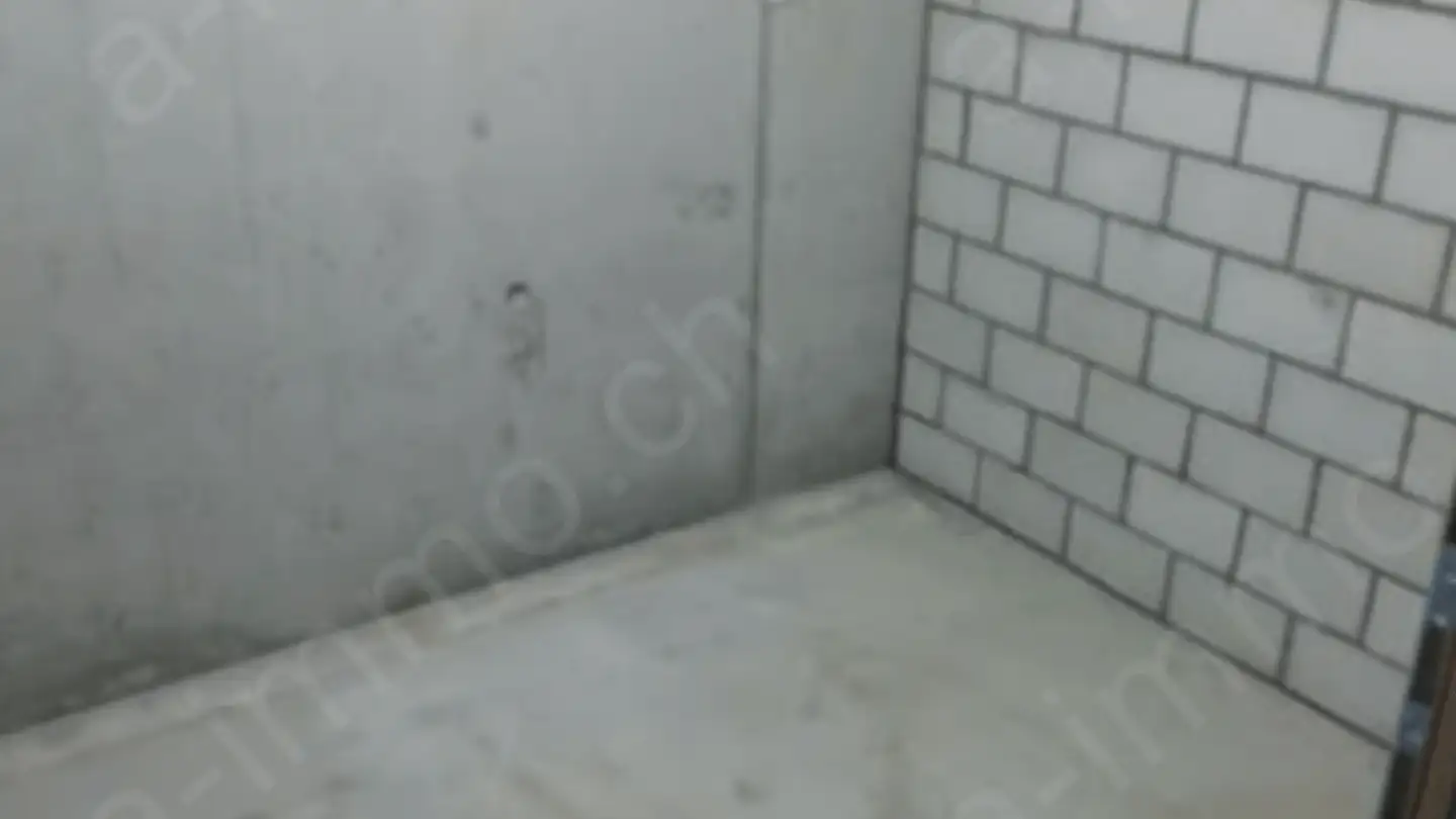 Single garage for rent - Untere Merjenstrasse 3, 3922 Stalden VS - Photo 3