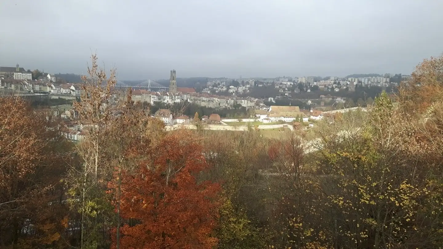 Place de parking souterraine à louer - Rue Du Botzet 20, 1700 Fribourg