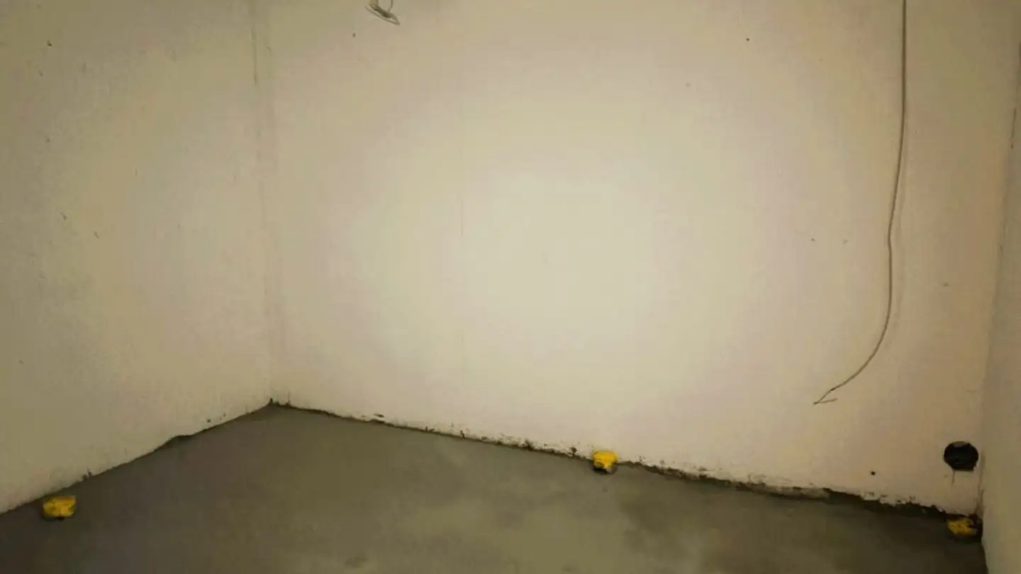 Department store for rent - Frohsinnweg, 9220 Bischofszell - Photo 2