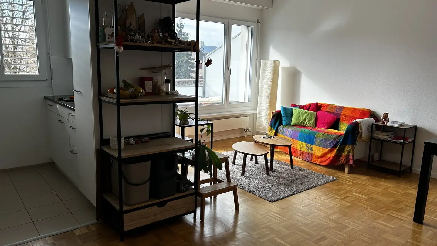 Appartamento in affitto - Limmataustrasse 4, 8952 Schlieren - Photo 2