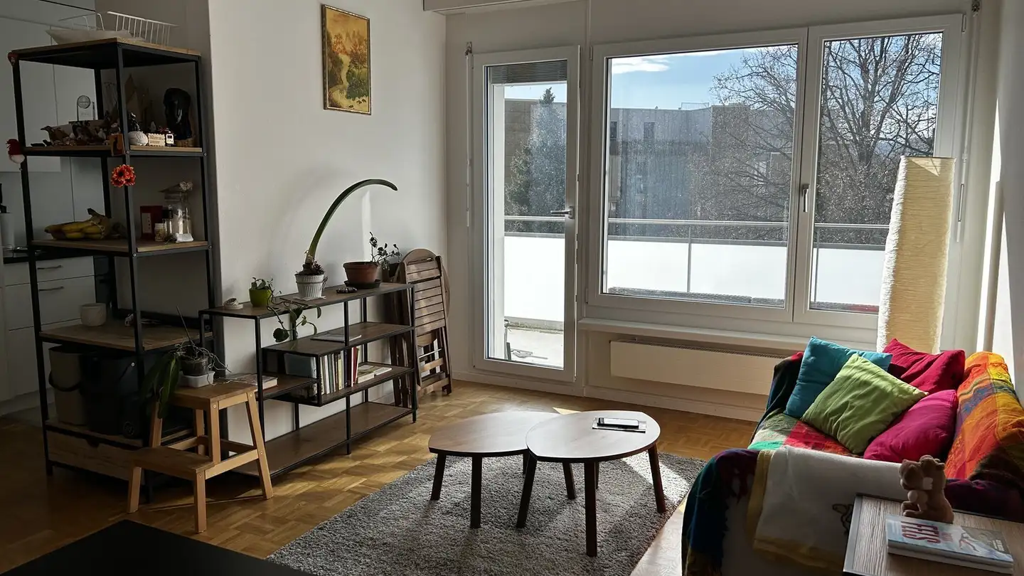 Appartamento in affitto - Limmataustrasse 4, 8952 Schlieren - Photo 4