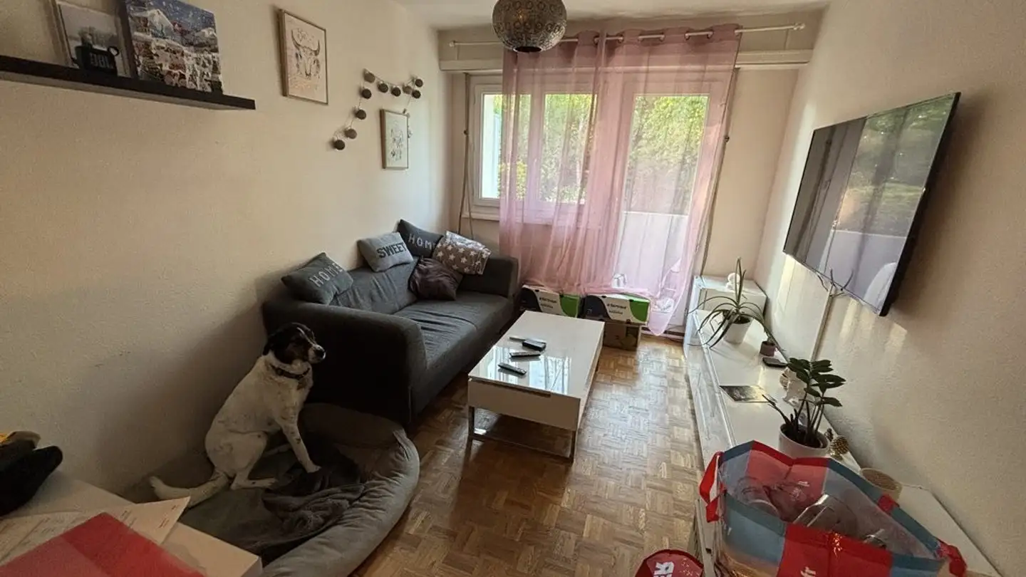 Appartamento in affitto - L' Ancienne-Route 77a, 1218 Le Grand-Saconnex - Foto 2