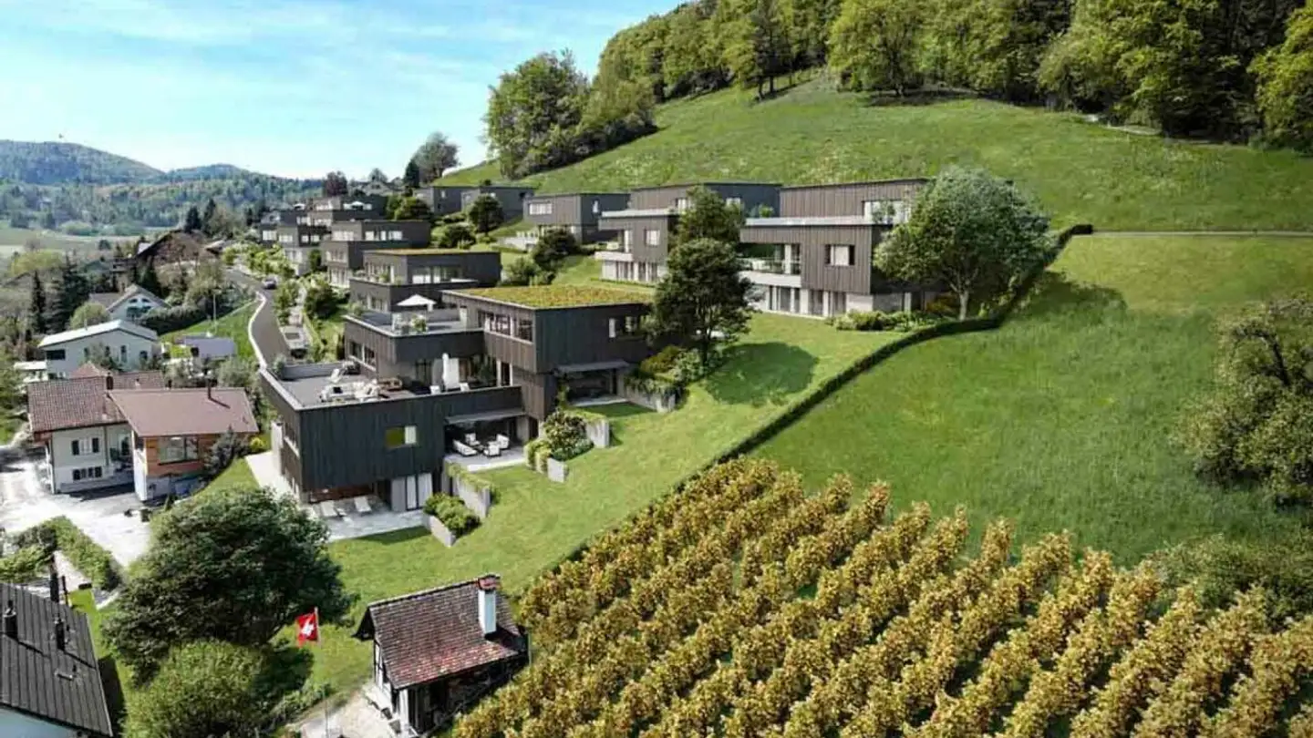 Appartement à vendre - In Den Reben 9a, 8356 Ettenhausen TG