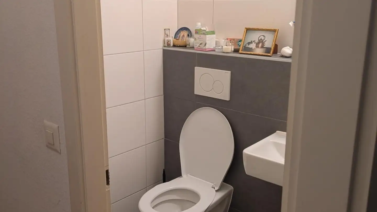 Appartamento in affitto - Avenue Du Parc-De-La-Rouvraie 22, 1018 Lausanne - Foto 3