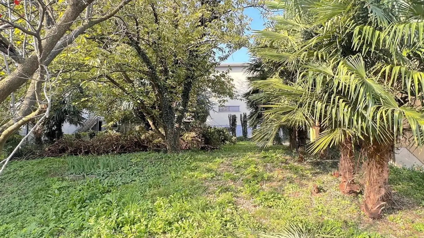 Casa singola in vendita - 6929 Gravesano - Foto 3