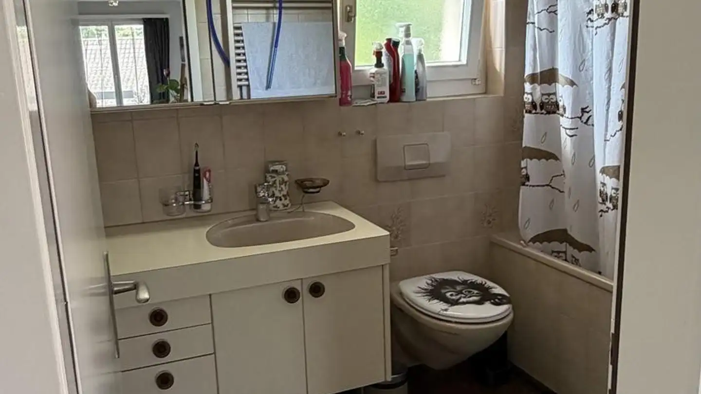 Appartamento in affitto - Russikerstrasse 15, 8320 Fehraltorf - Foto 4