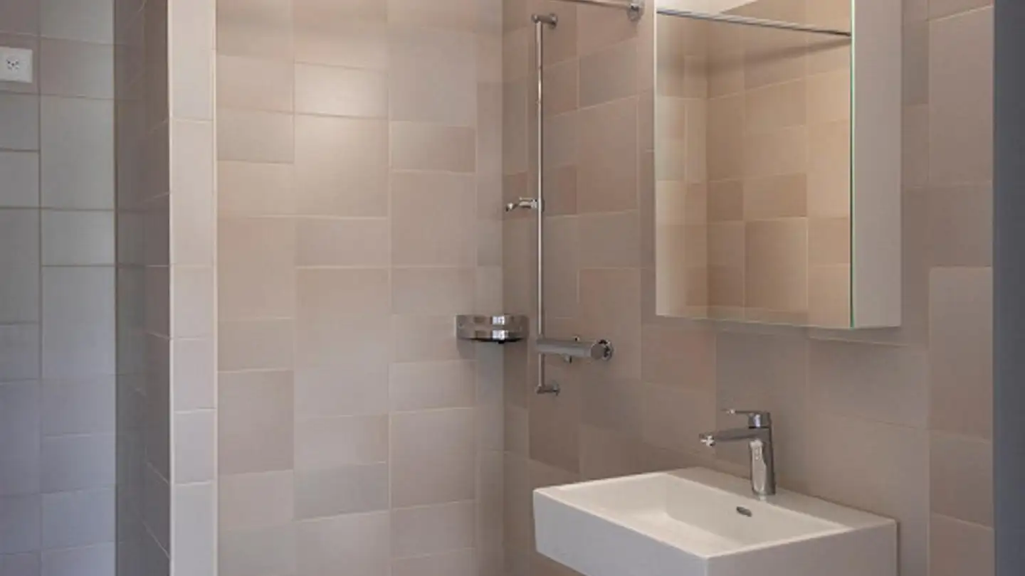 Apartment for rent - Haldenstrasse 167, 8055 Zürich - Photo 4