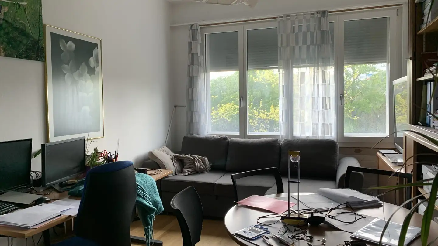 Wohnung mieten - Wiesenschanzweg 36, 4057 Basel - Foto 2