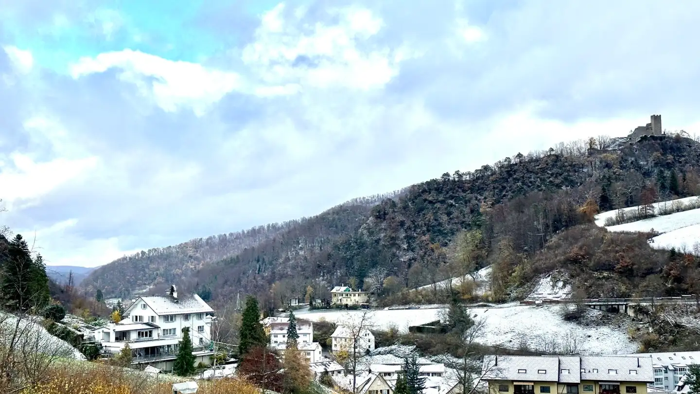 Apartment for sale - Schellenberg 6, 4437 Waldenburg