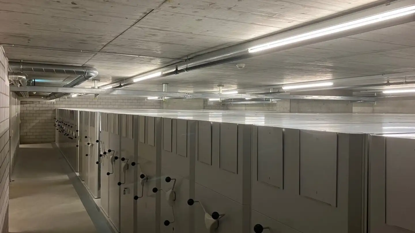 Espace de stockage à louer - Schärenmoosstrasse 99, 8052 Zürich