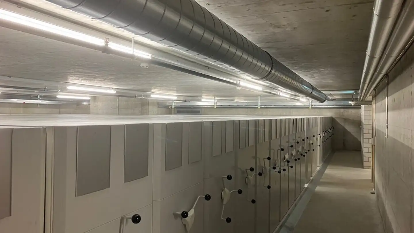 Espace de stockage à louer - Schärenmoosstrasse 99, 8052 Zürich - Photo 2