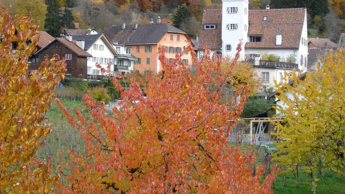 Wohnung mieten - Kirchgasse 13, 7208 Malans GR