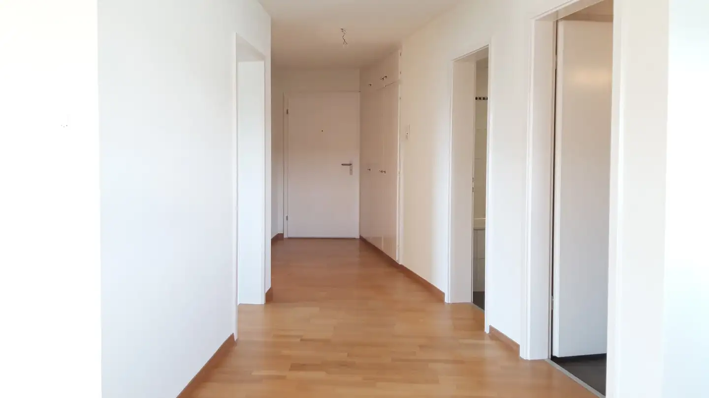 Wohnung mieten - Grosswiesenstrasse 153, 8051 Zürich - Foto 4