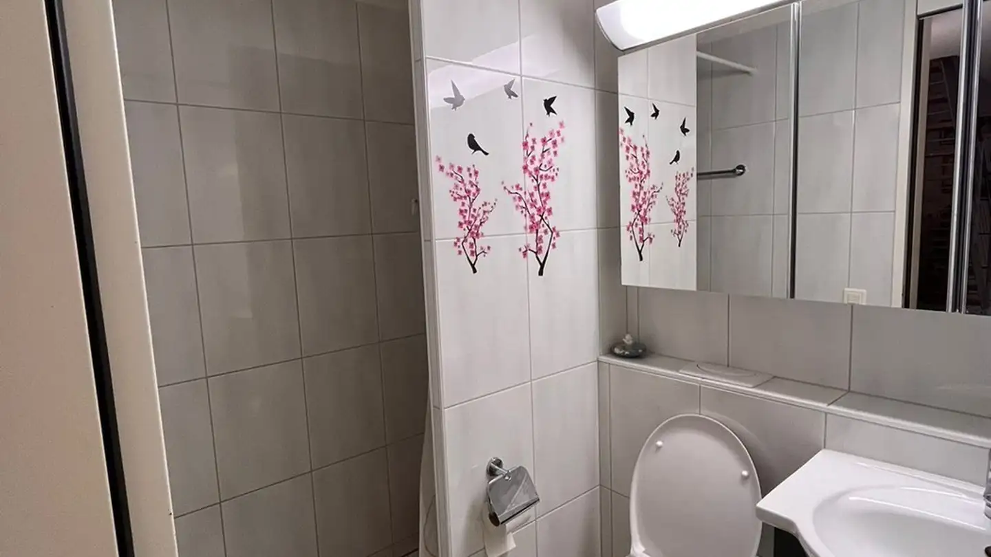 Chambre à louer - Rätschengässli 14, 8302 Kloten