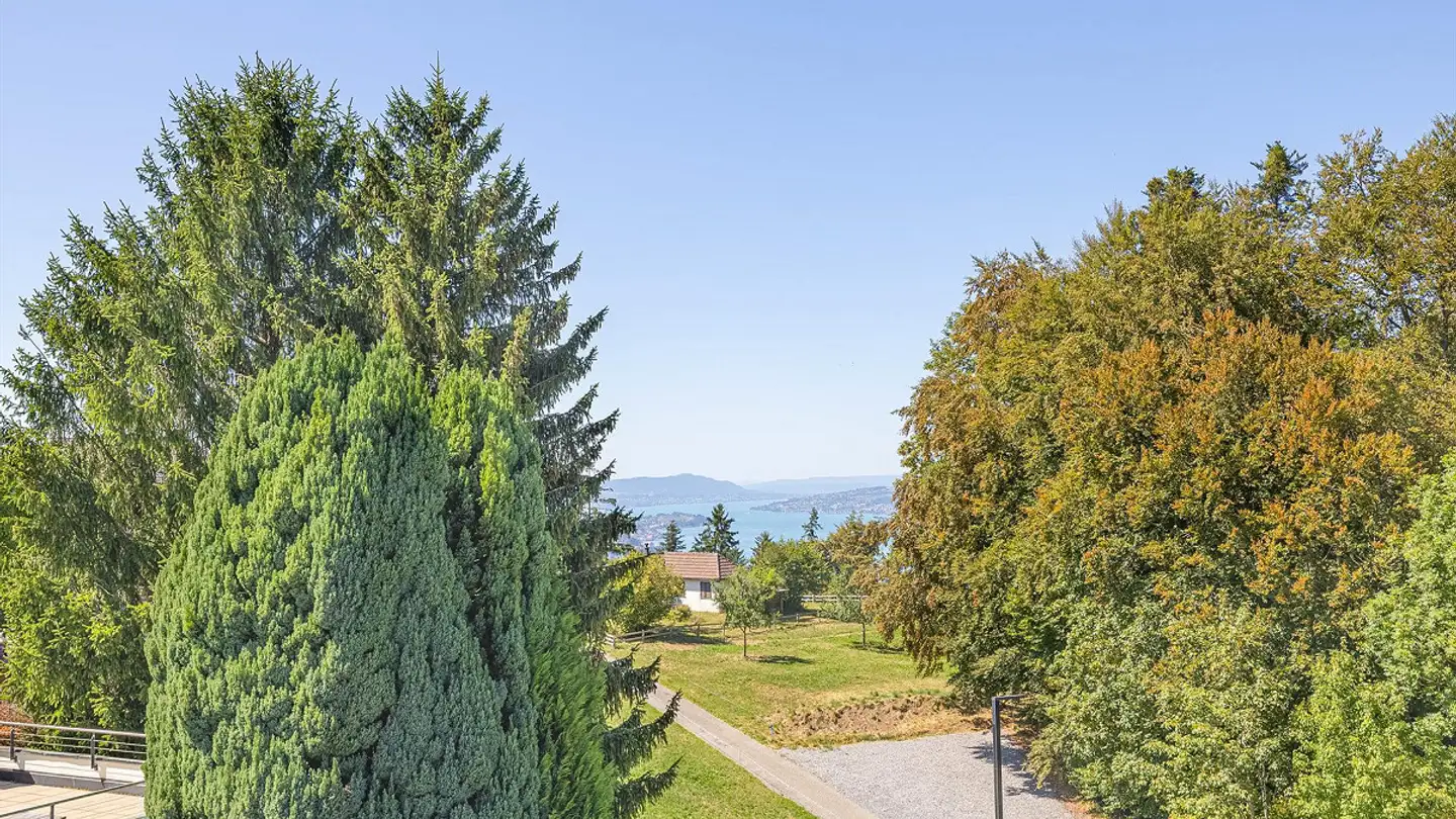 Stepped apartment for sale - Giessenstrasse 9b, 8835 Feusisberg