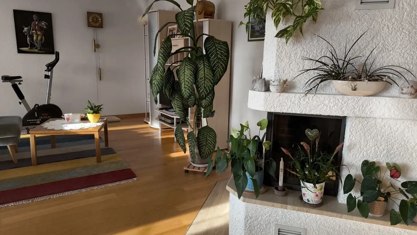 Appartamento in affitto - Im Moos, 9450 Lüchingen