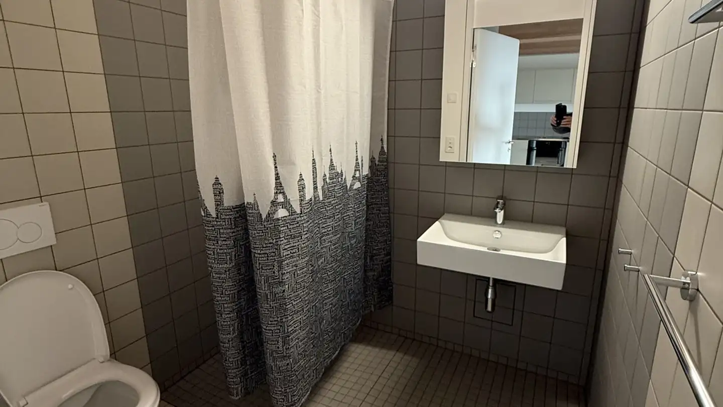 Appartamento in affitto - Hardstrasse 6, 8105 Regensdorf - Photo 3