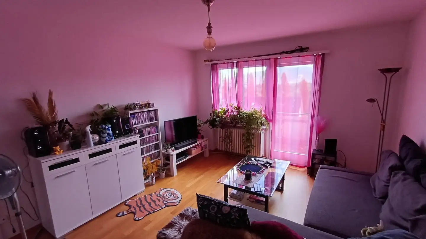 Appartement à louer - Am Wasser 132, 8049 Zürich - Photo 3