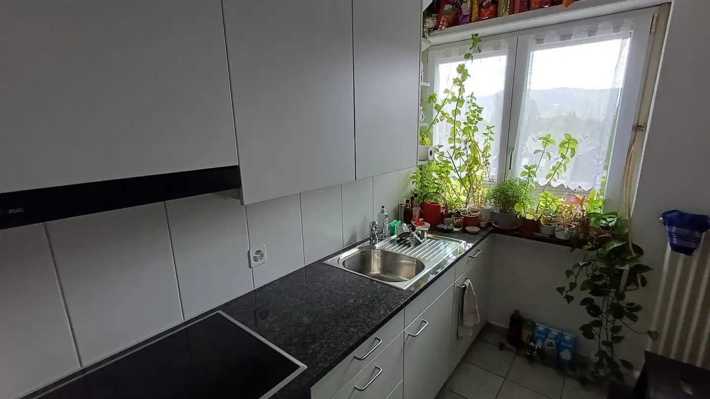 Appartement à louer - Am Wasser 132, 8049 Zürich - Photo 4