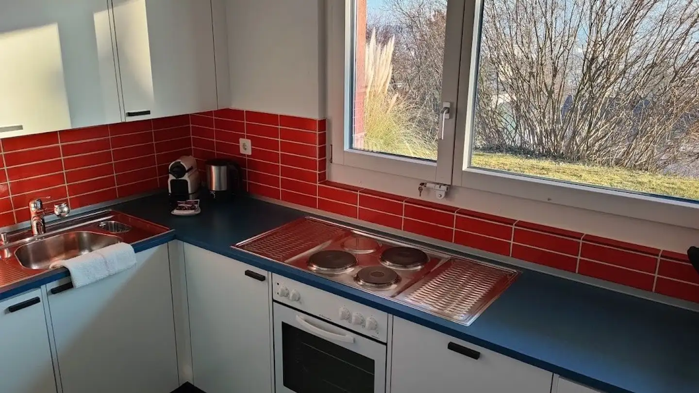 Apartment for rent - 8102 Oberengstringen - Photo 3