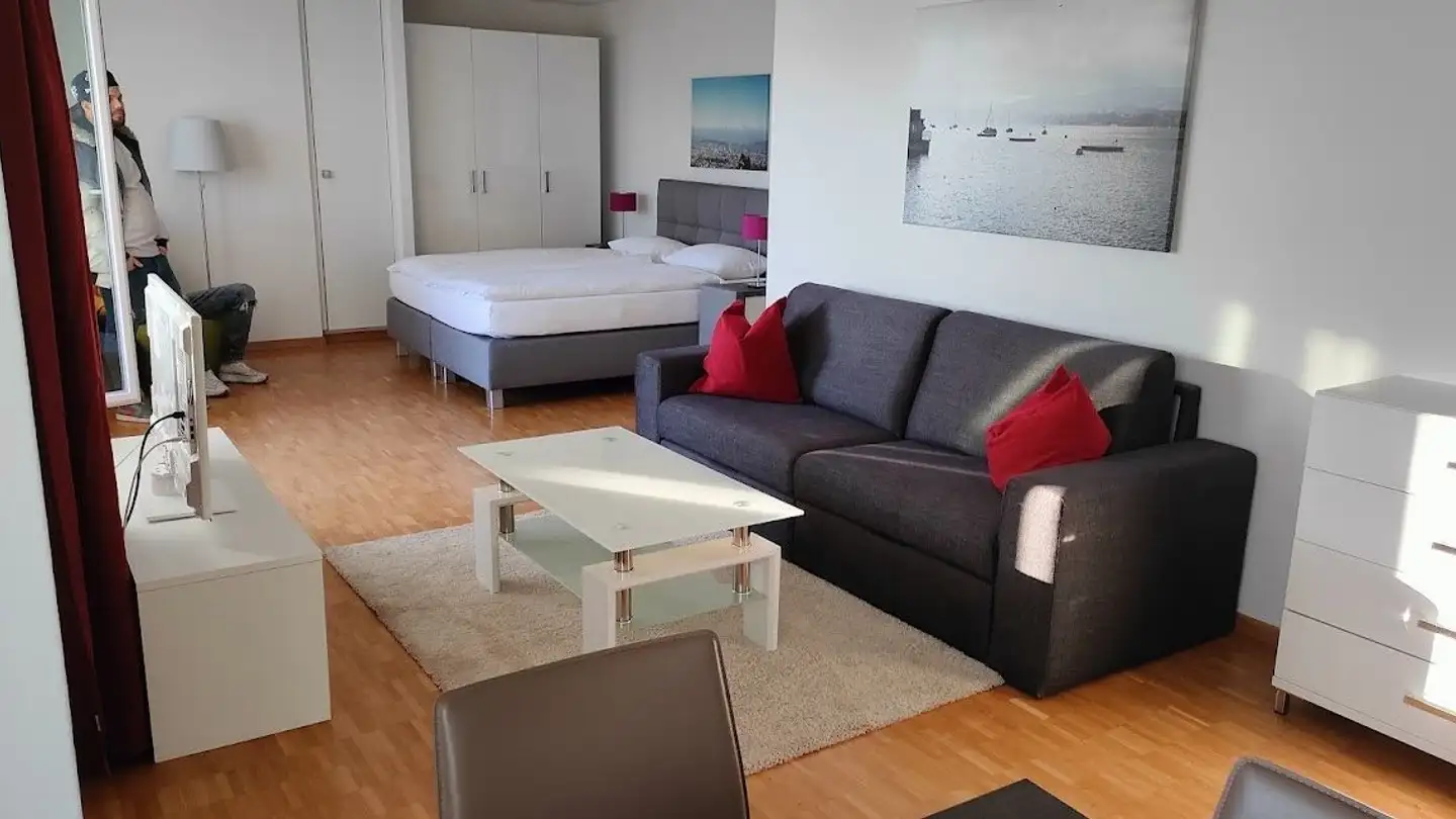Apartment for rent - 8102 Oberengstringen