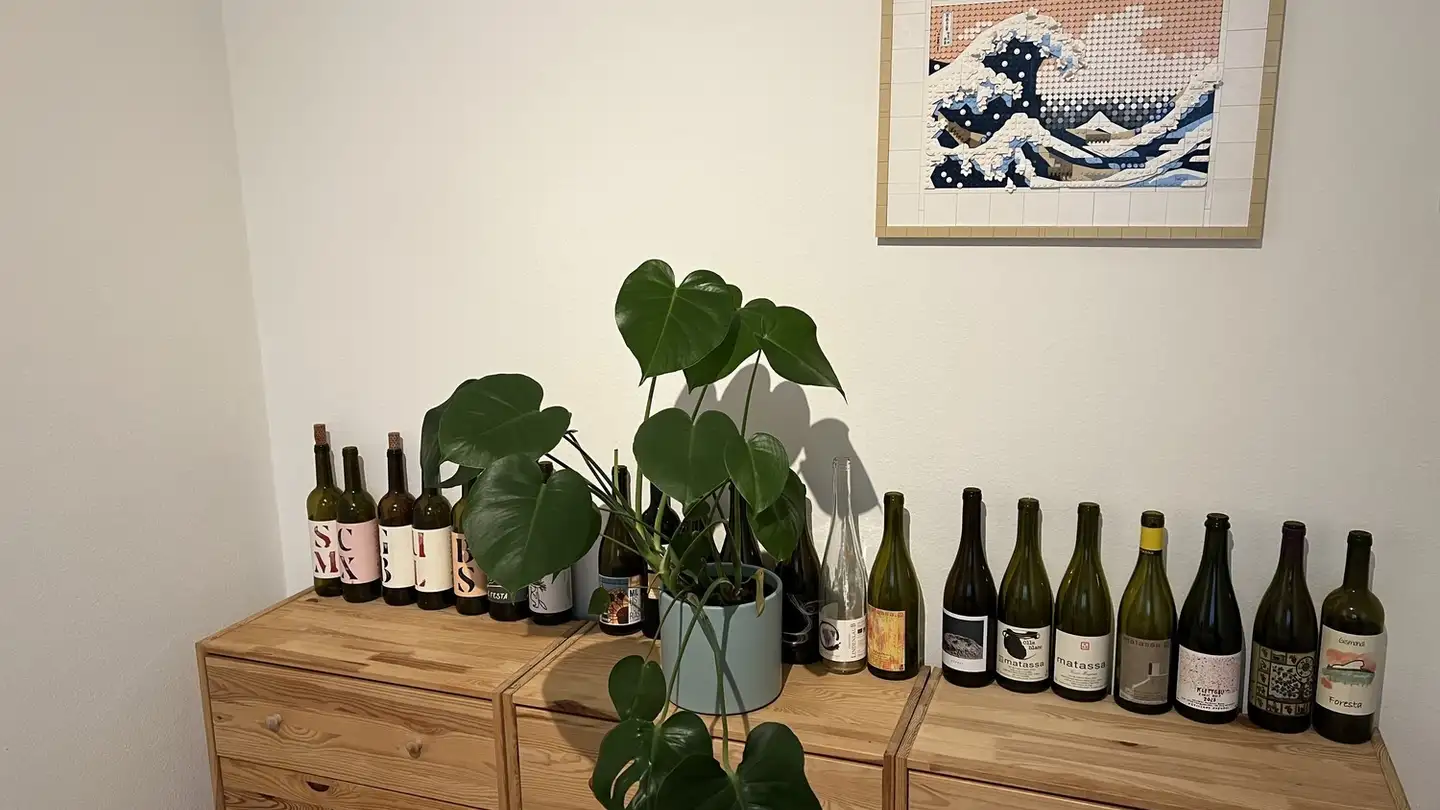 Single room for rent - 8050 Zürich - Photo 3