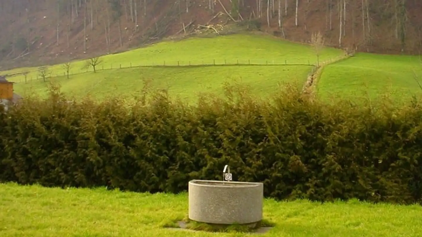 Appartamento in affitto - Viehweidstrasse, 3123 Belp - Foto 3