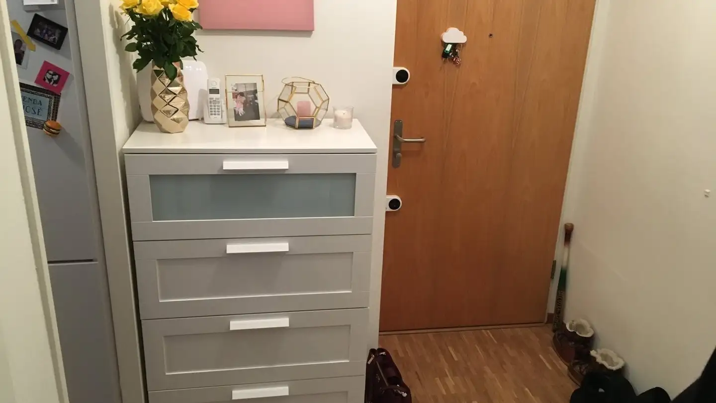 Appartamento in affitto - Chemin Du-Villard, 1219 Châtelaine - Foto 2