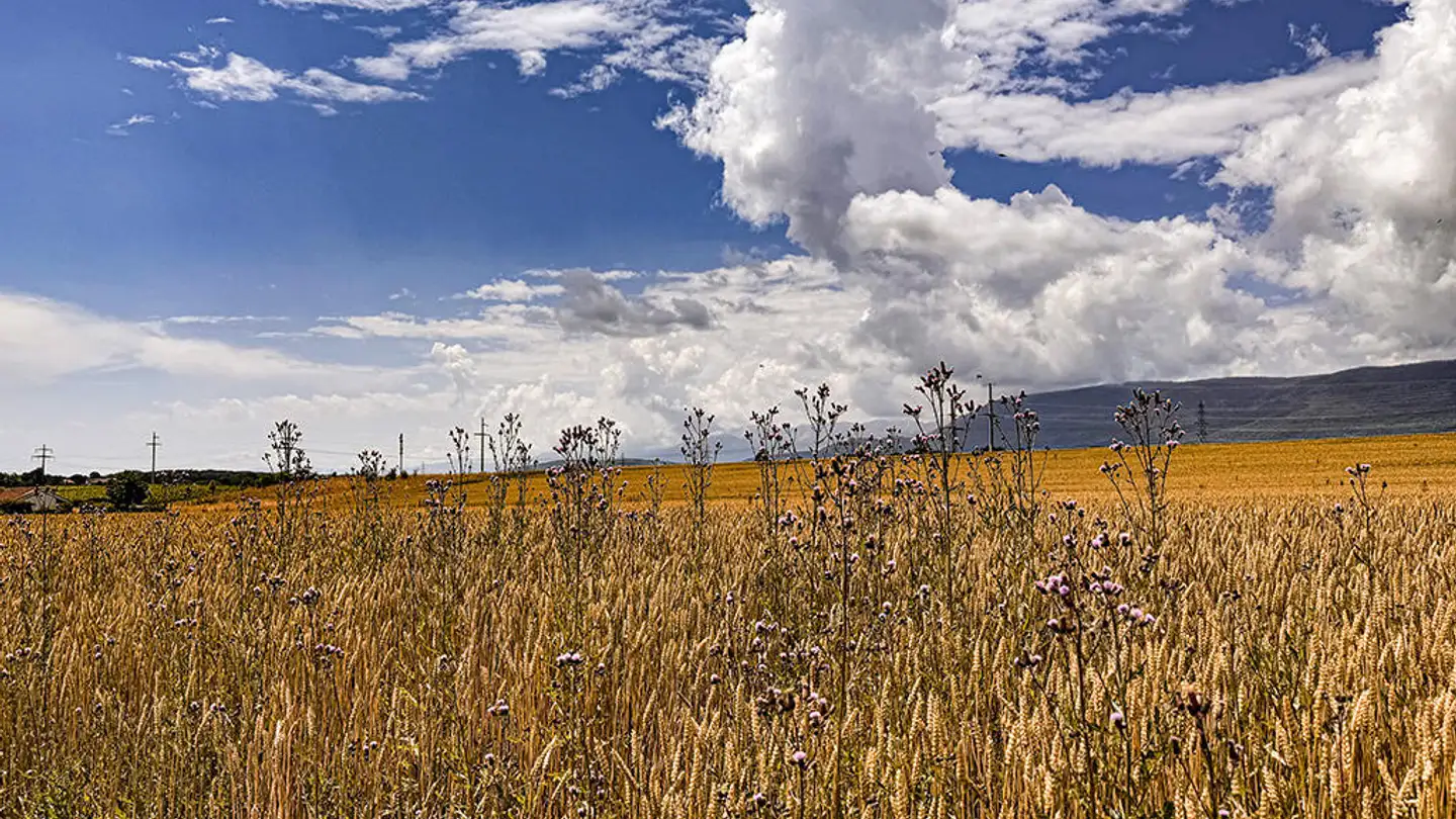 Villa à vendre - 1262 Eysins