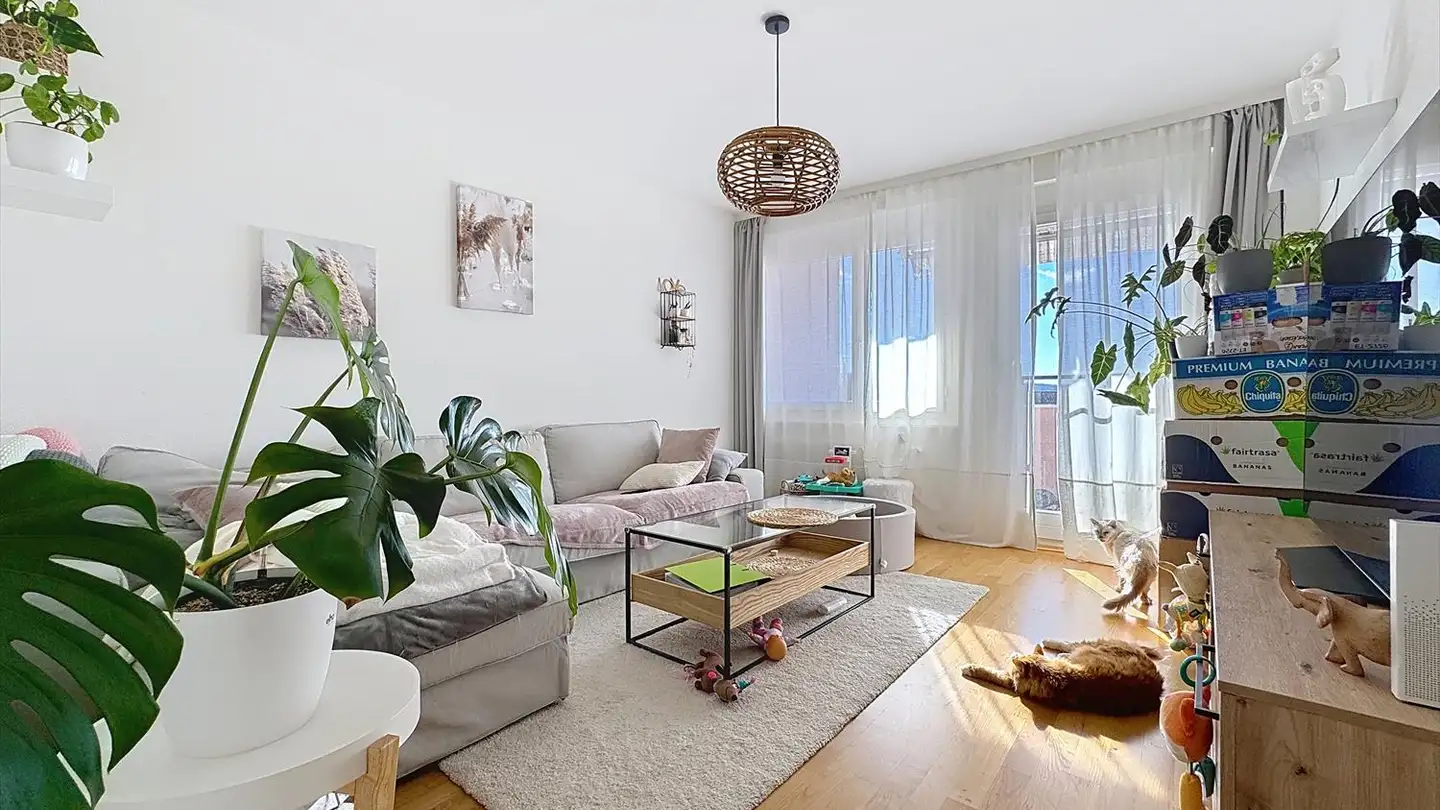 Appartement à louer - 1530 Payerne