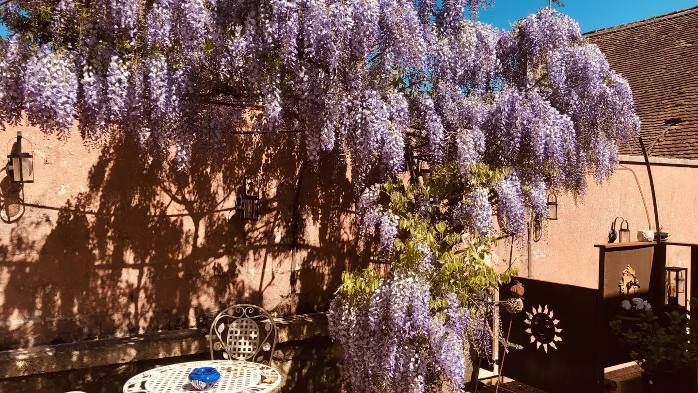 Doppelhaushälfte kaufen - 1462 Yvonand - Foto 4