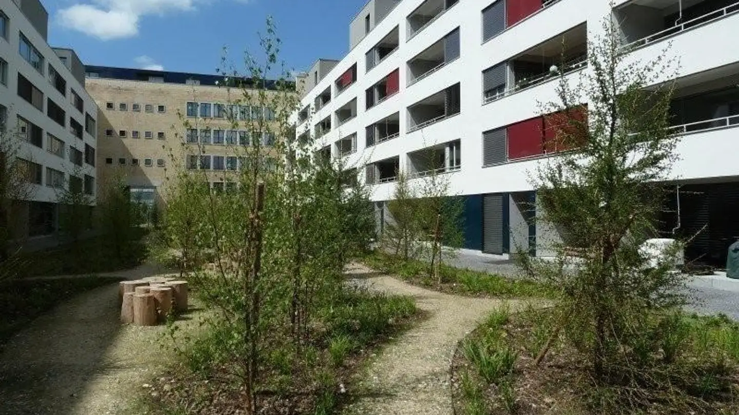 Appartamento in affitto - Else-Züblin-Strasse 106, 8404 Winterthur