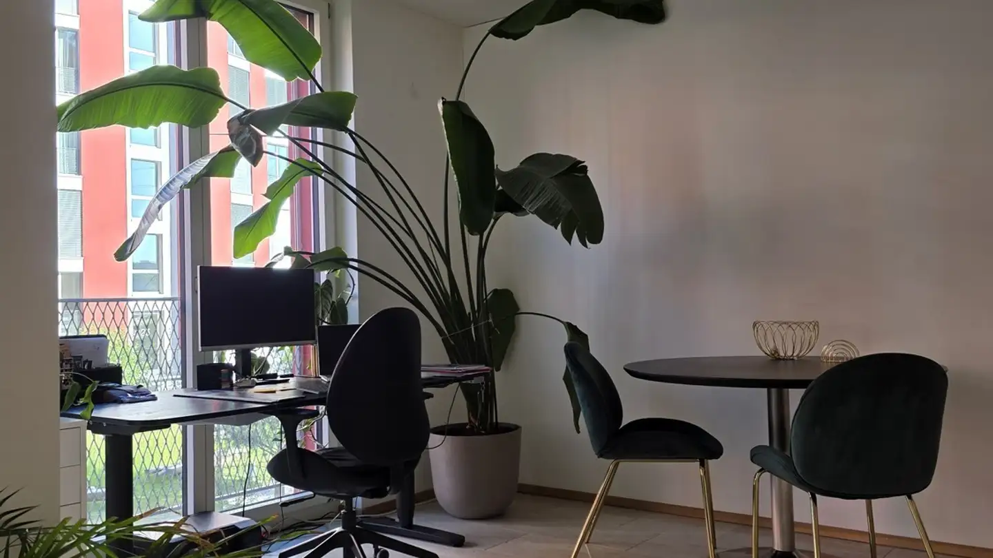 Appartement meublé à louer - Am Stadtrand 29, 8600 Dübendorf - Photo 3