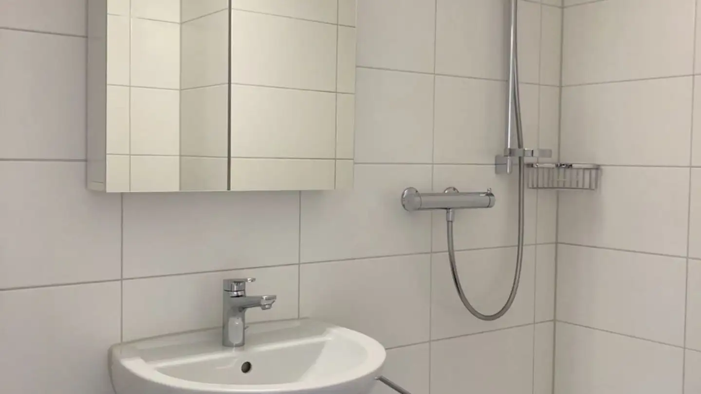 Single room for rent - Schwandenholzstrasse 248, 8046 Zürich - Photo 4