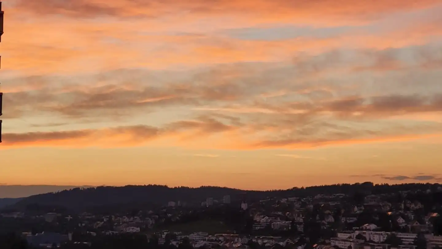 Single room for rent - Pfingstweidstrasse 94, 8005 Zürich - Photo 2