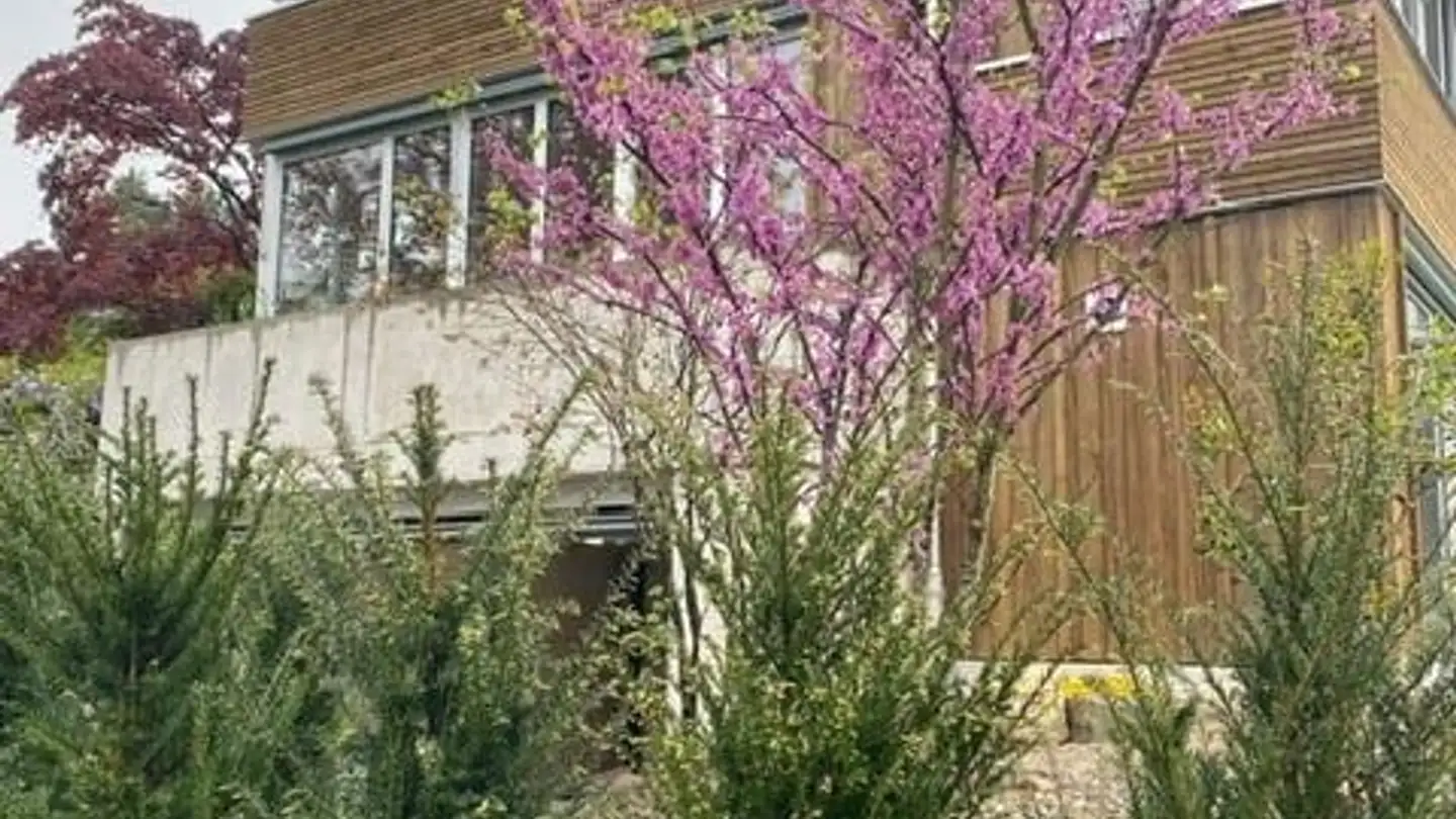 Single house for rent - Alte Landstrasse 11, 8702 Zollikon