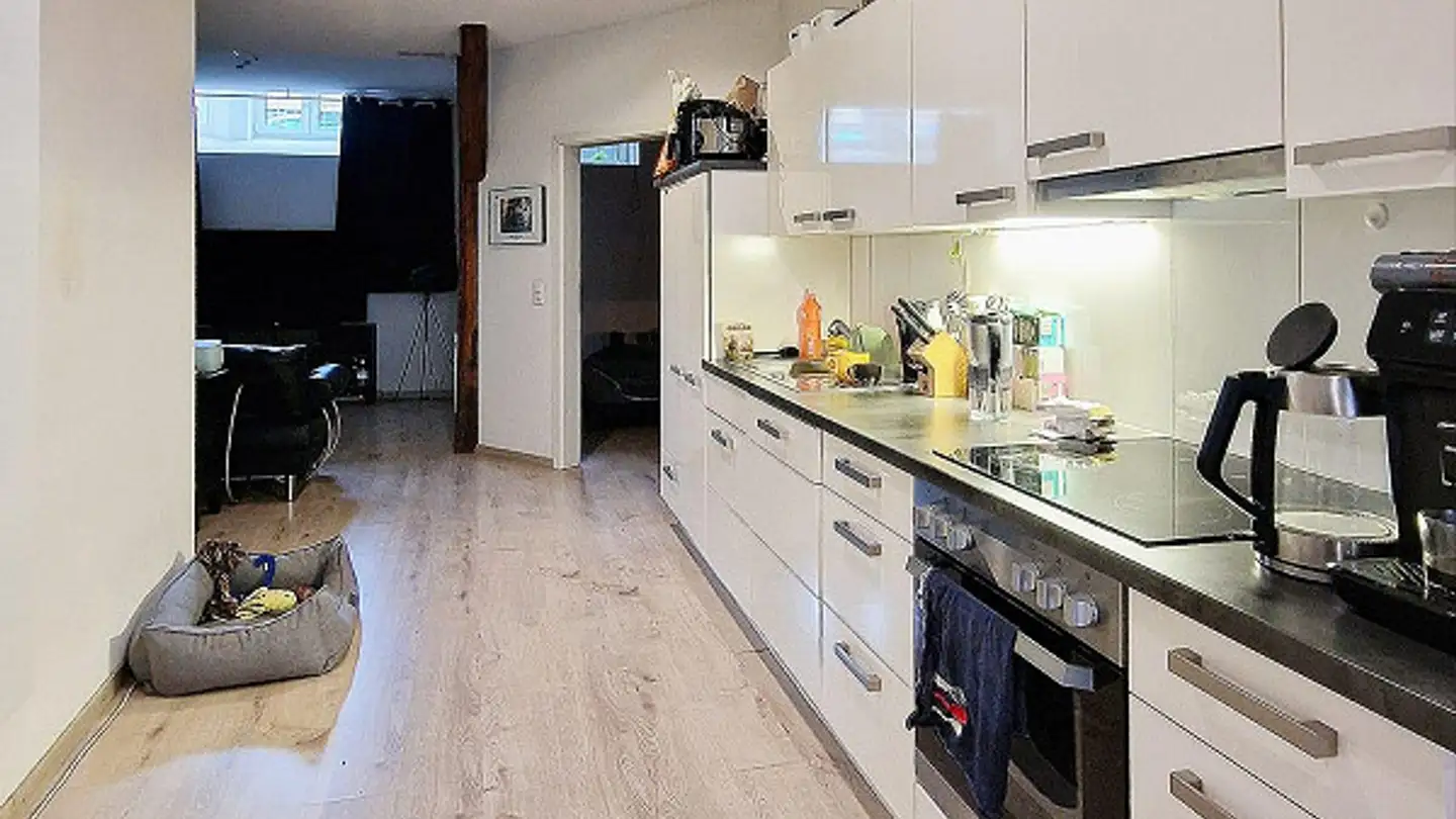 Loft for rent - Mättlistrasse 21, 8867 Niederurnen - Photo 4