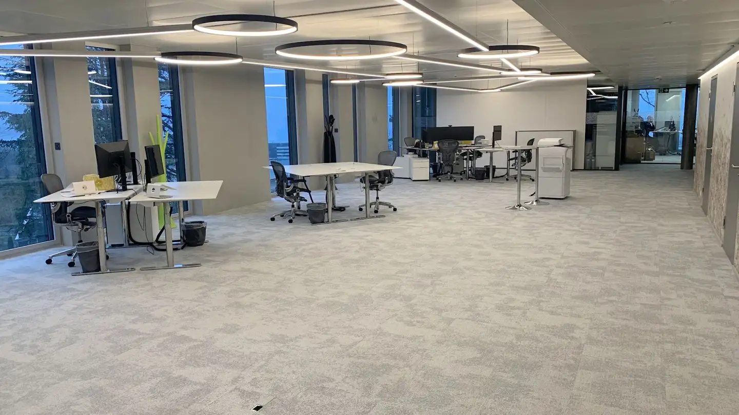 Commercial à louer - Route de Lully 5, 1131 Tolochenaz