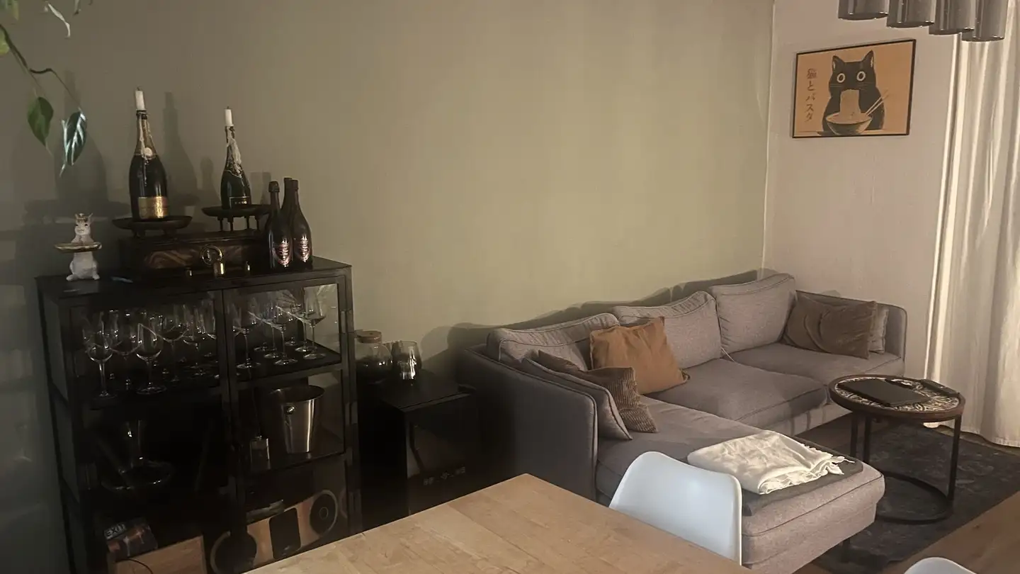 Single room for rent - Habsburgerstrasse 50, 6003 Luzern