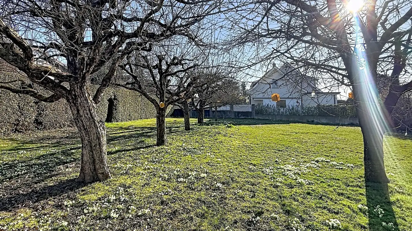 Maison individuelle à louer - Chemin Du Levant, 1530 Payerne - Photo 4