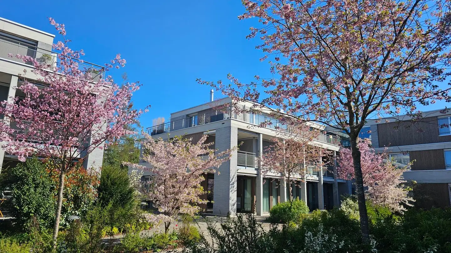 Wohnung mieten - General-Weber-Strasse 38, 8500 Frauenfeld