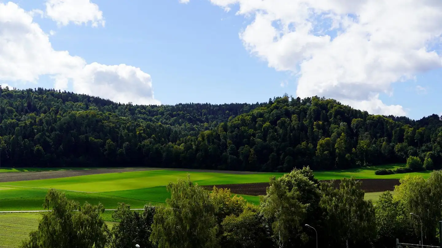 Attico in affitto - Äntenschnabel 19, 8353 Elgg